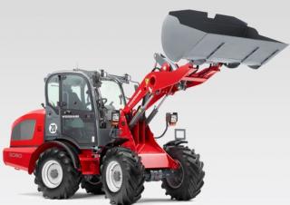 Pale gommate Weidemann 3080