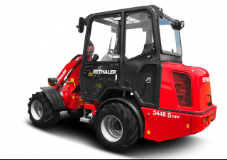 Pale gommate Thaler 3448 L