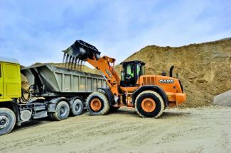 Pale gommate Case 821 F ZB