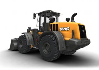 Pale gommate Case 821G