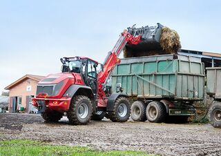 Pale gommate Weidemann 9580 T