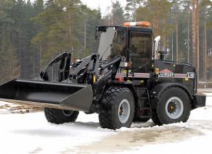 Pale gommate Ljungby L 15