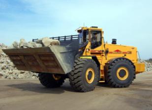 Pale gommate Ljungby L 25