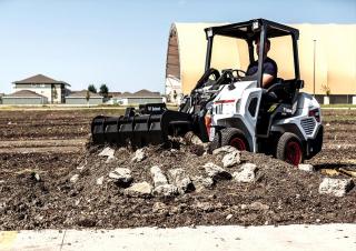 Pale gommate Bobcat L23