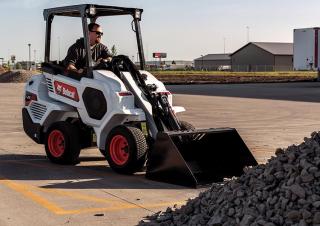 Pale gommate Bobcat L23
