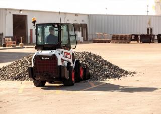 Pale gommate Bobcat L28