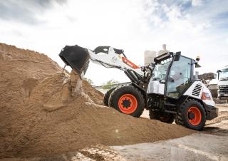 Pale gommate Bobcat L85