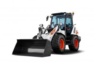 Pale gommate Bobcat L85