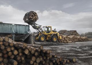 Pale gommate Volvo L90H