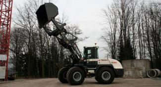 Pale gommate Terex TL 260