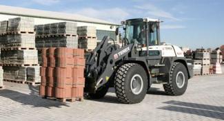 Pale gommate Terex TL 260