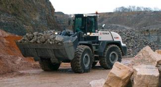 Pale gommate Terex TL 310