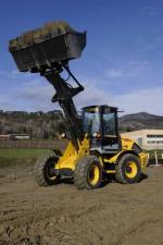 Pale gommate New Holland W80B TC