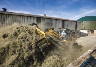 Pale gommate New Holland W170D LR