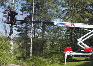 Piattaforme aeree articolate Piattaforme aeree articolate cingolate Dino Lift Dino 220 XTC II