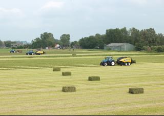 Presse per grandi imballaggi + Presse ad alta pressione New Holland BB 1290 R