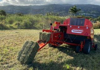 Presse per grandi imballaggi + Presse ad alta pressione Maschio Pitagora