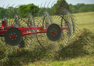 Ranghinatori rotativi Massey Ferguson 3986 High-Capacity
