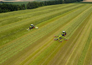 Ranghinatori rotativi Claas Liner 4700 Trend 
