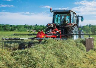 Ranghinatori rotativi Massey Ferguson RK451 TR