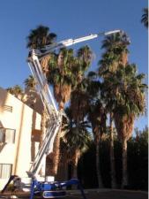 Piattaforme aeree articolate Piattaforme aeree articolate cingolate Falcon Lifts FS 320 Z