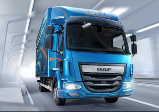 Autocarro Telaio rigido DAF LF 210 FA 14t