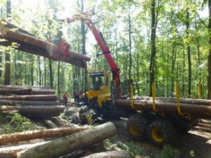 Macchine forestali Trattori forestali speciali Welte W 140 T