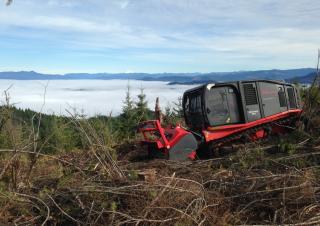 Veicoli Trattori per uso municipale Prinoth Raptor 800