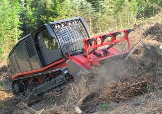 Veicoli Trattori per uso municipale Prinoth Raptor 800