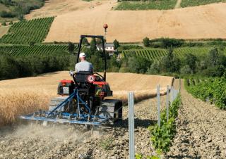 Mietitrebbie DEUTZ-FAHR C 9305 TS