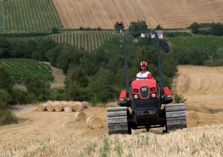 Mietitrebbie DEUTZ-FAHR C 6205 TS Farmline