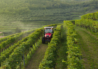 Trattrici agricole - trazione a 4 ruote Valtra F105S