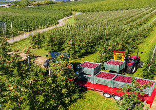 Trattrici agricole - trazione a 4 ruote Valtra F105S