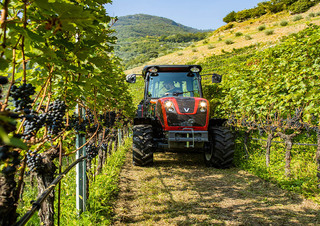 Trattrici agricole - trazione a 4 ruote Valtra F105S