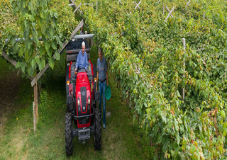 Trattrici agricole - trazione a 4 ruote Valtra F105S