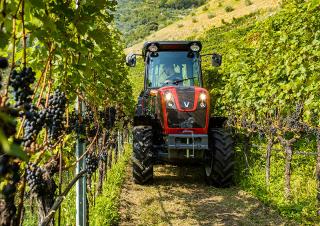 Trattrici agricole - trazione a 4 ruote Valtra F85S