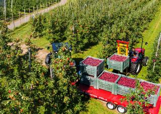 Trattrici agricole - trazione a 4 ruote Valtra F95S