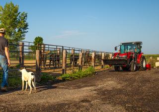 Trattrici agricole - trazione a 4 ruote Massey Ferguson MF 1735 M