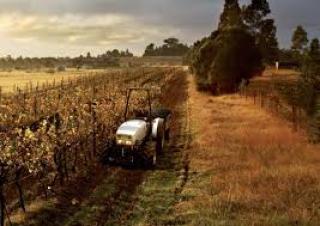 Trattrici agricole - trazione a 4 ruote Lamborghini RV.80 DT Inversore Idraulico