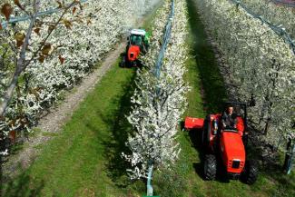 Trattrici agricole - trazione a 4 ruote SAME Frutteto³ 80 DT