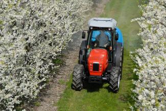 Trattrici agricole - trazione a 4 ruote SAME Frutteto³ 80 DT