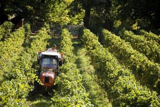 Trattrici agricole - trazione a 4 ruote SAME Frutteto³ S 90.3 DT