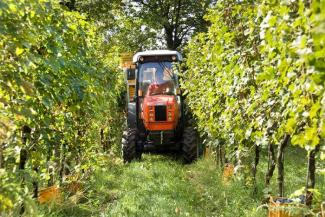 Trattrici agricole - trazione a 4 ruote SAME Frutteto³ S 90.3 DT