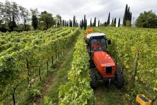 Trattrici agricole - trazione a 4 ruote SAME Frutteto³ S 90.3 DT