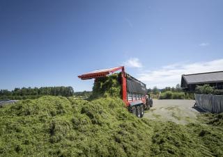 Trinciaforaggi Pöttinger Jumbo 8450 DB
