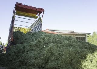 Trinciaforaggi Pöttinger Primo 801 L