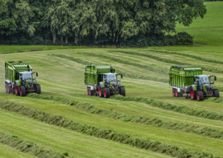 Trinciaforaggi Fendt Tigo 70 MS 