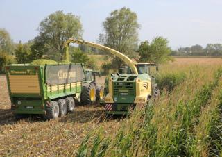 Trinciaforaggi Krone TX 460 