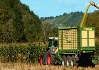 Trinciaforaggi Krone ZX 350 GL