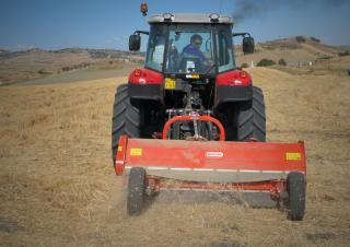 Trinciatrici Maschio Chiara 230 S